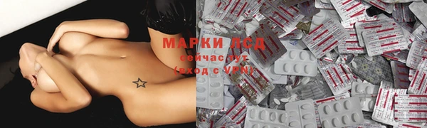 гашик Арсеньев