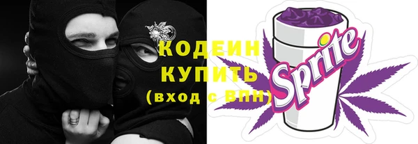 гашик Арсеньев