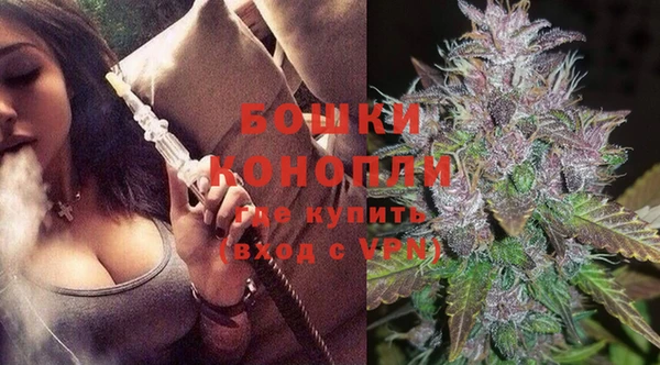 гашик Арсеньев